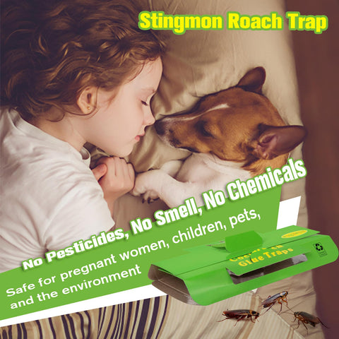 Stingmon roach traps with multiple entry points for better capture