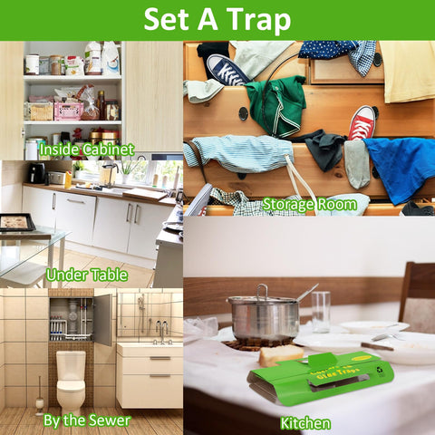 Stingmon roach traps designed for family safety around kids