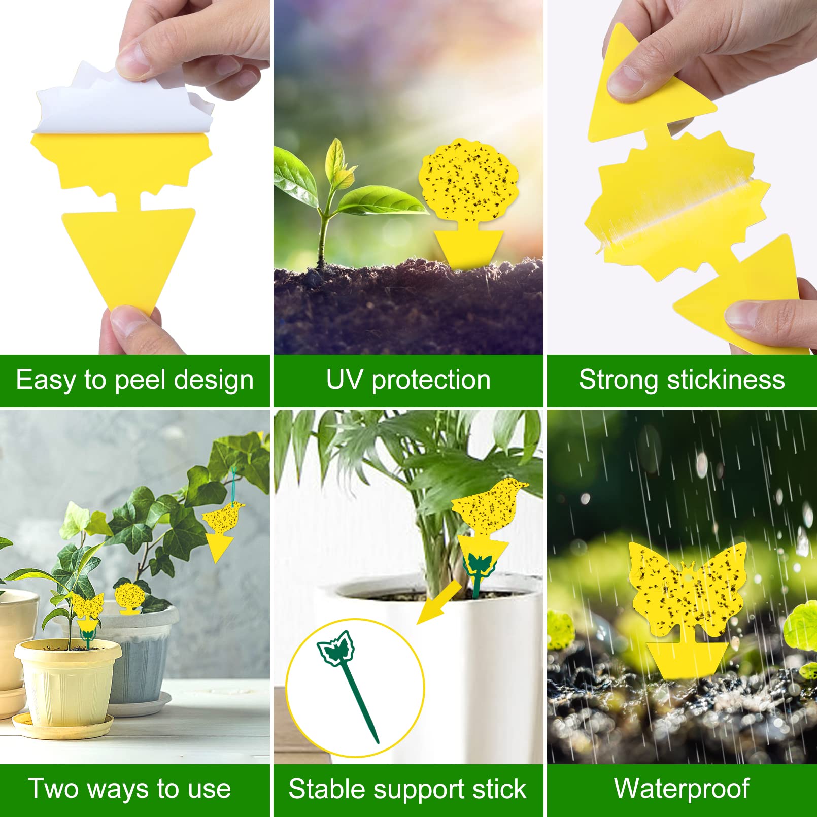 Stingmon sticky trap adhesive secures pests with a strong, safe hold.