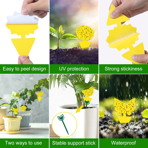 Stingmon sticky trap adhesive secures pests with a strong, safe hold.
