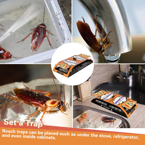 Stingmon Trap strong adhesive ensures insects stay captured