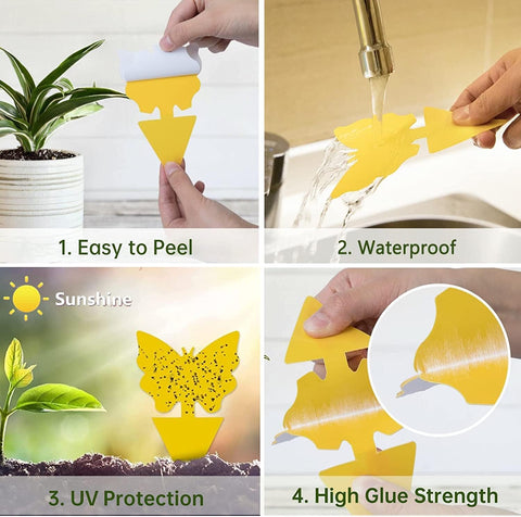 Stingmon UV-resistant traps stay effective in summer heat.