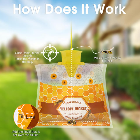 Stingmon yellow jacket trap demonstrates beer and meat bait for best results.