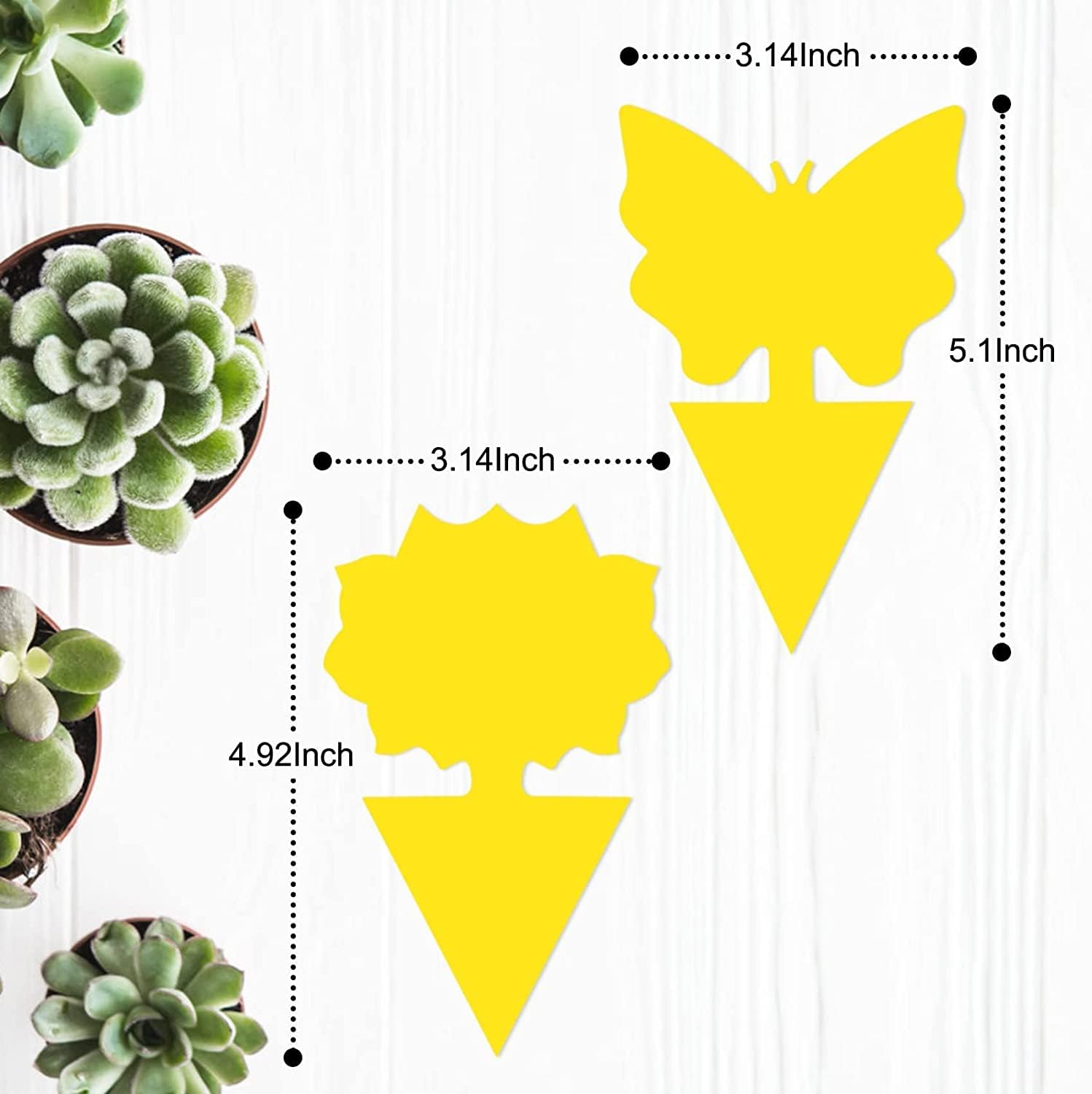 Stingmon yellow sticky traps for gnats protect indoor houseplants.