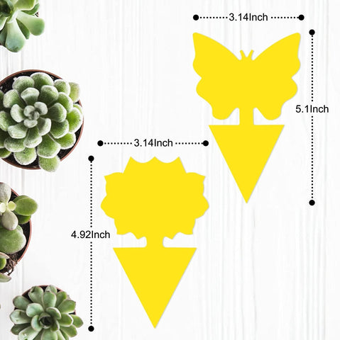 Stingmon yellow sticky traps for gnats protect indoor houseplants.
