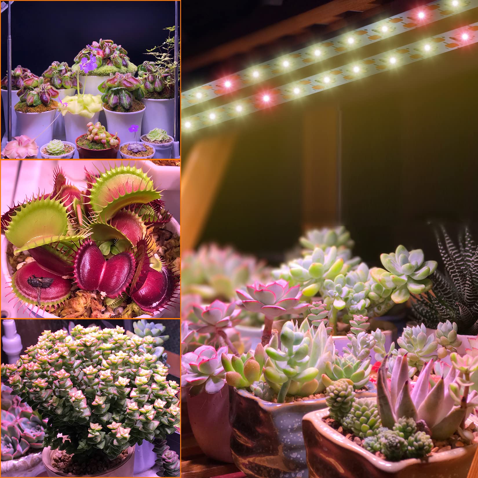 ST.MARY TINO Grow Light Strip indoor garden setup on shelf