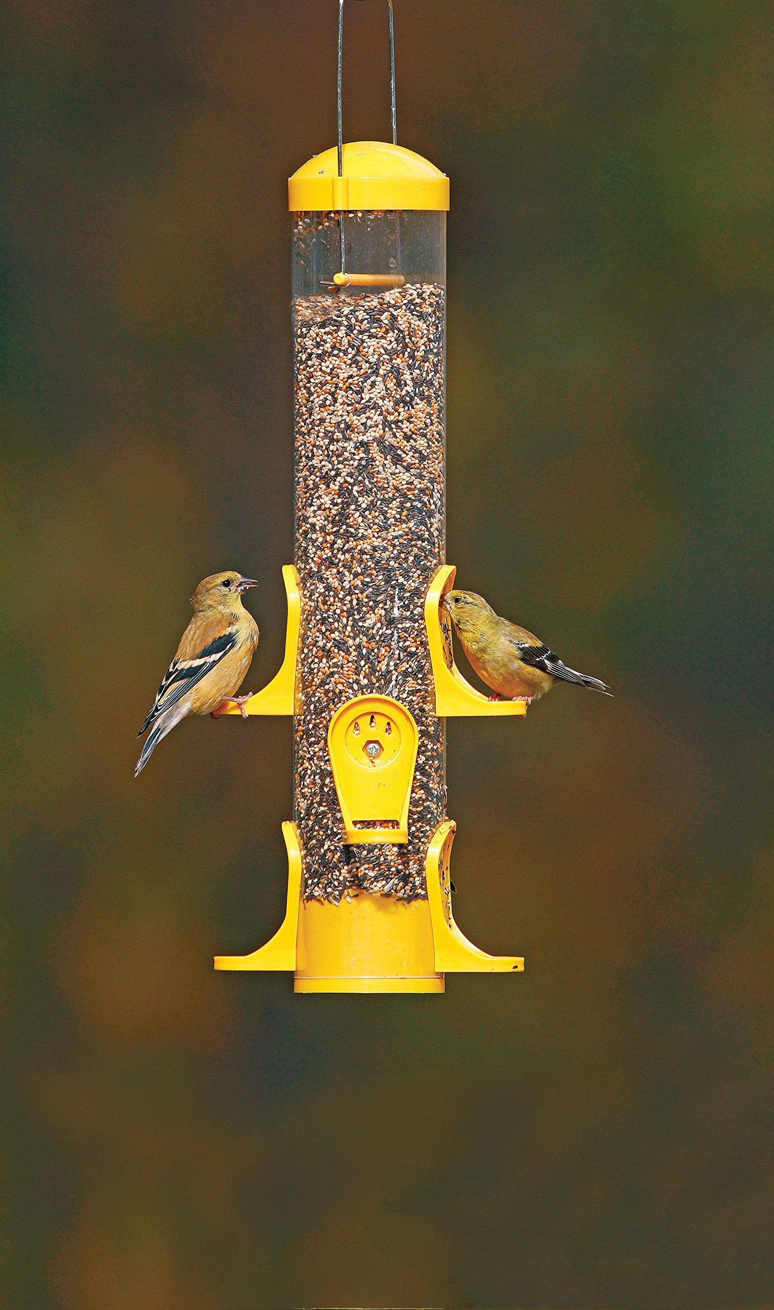 Stokes Select thistle tube feeder six-port setup provides multiple feeding spots for visiting songbirds