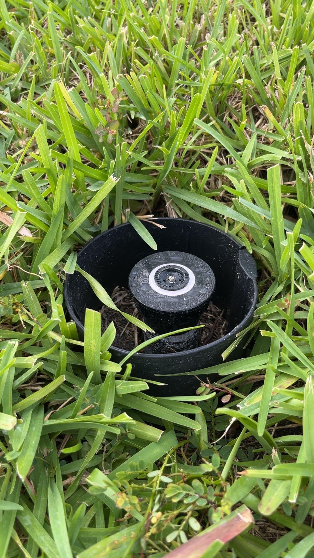 Stoneking Armor protects sprinkler heads and landscape lights from damage.