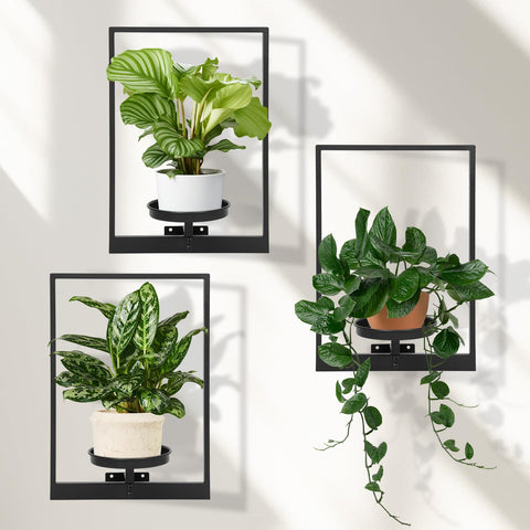 Storenization wall planters showcase a unique hanging design for indoor and outdoor spaces.