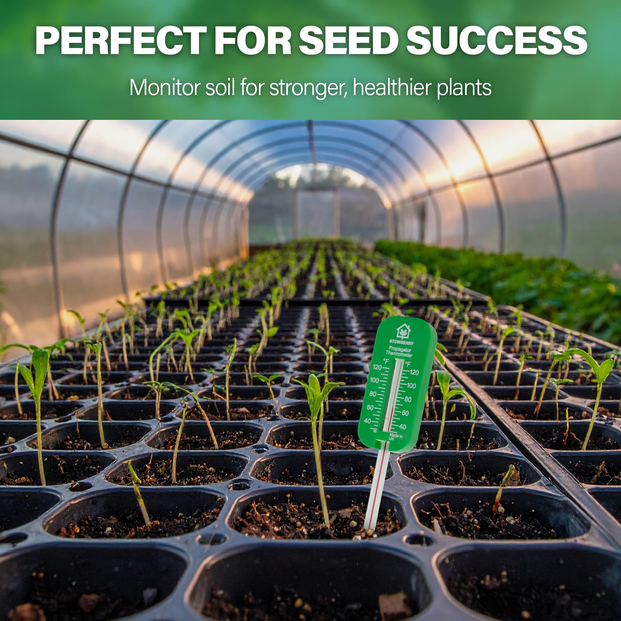 STOWBERRY greenhouse-garden setup supports accurate monitoring for consistent results.