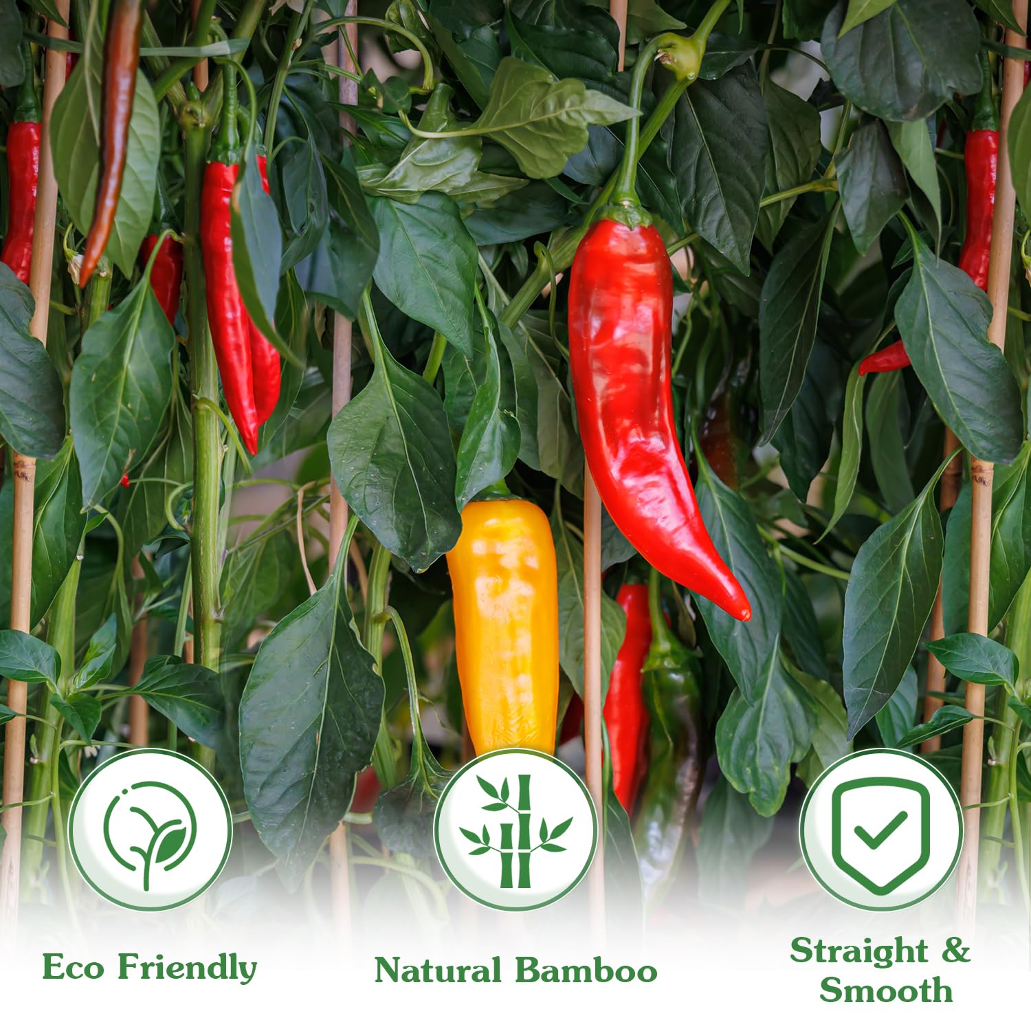 Stroller bamboo stake used as flower-support for indoor potted plants.
