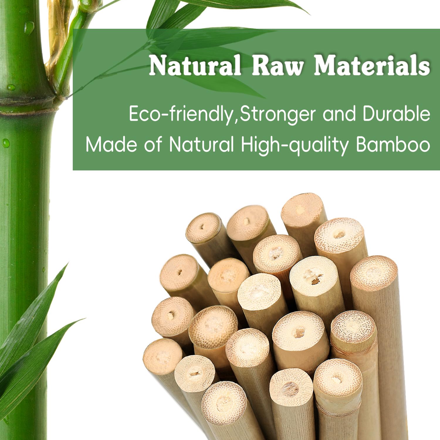 Stroller bamboo stake for tomatoes supports climbers and yields.