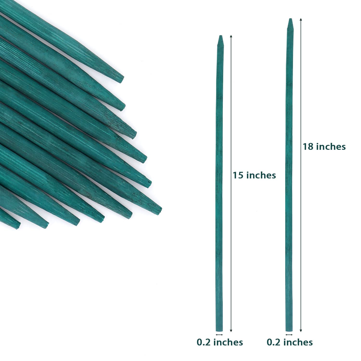 Stroller green bamboo plant stake with ties bundled for quick setup