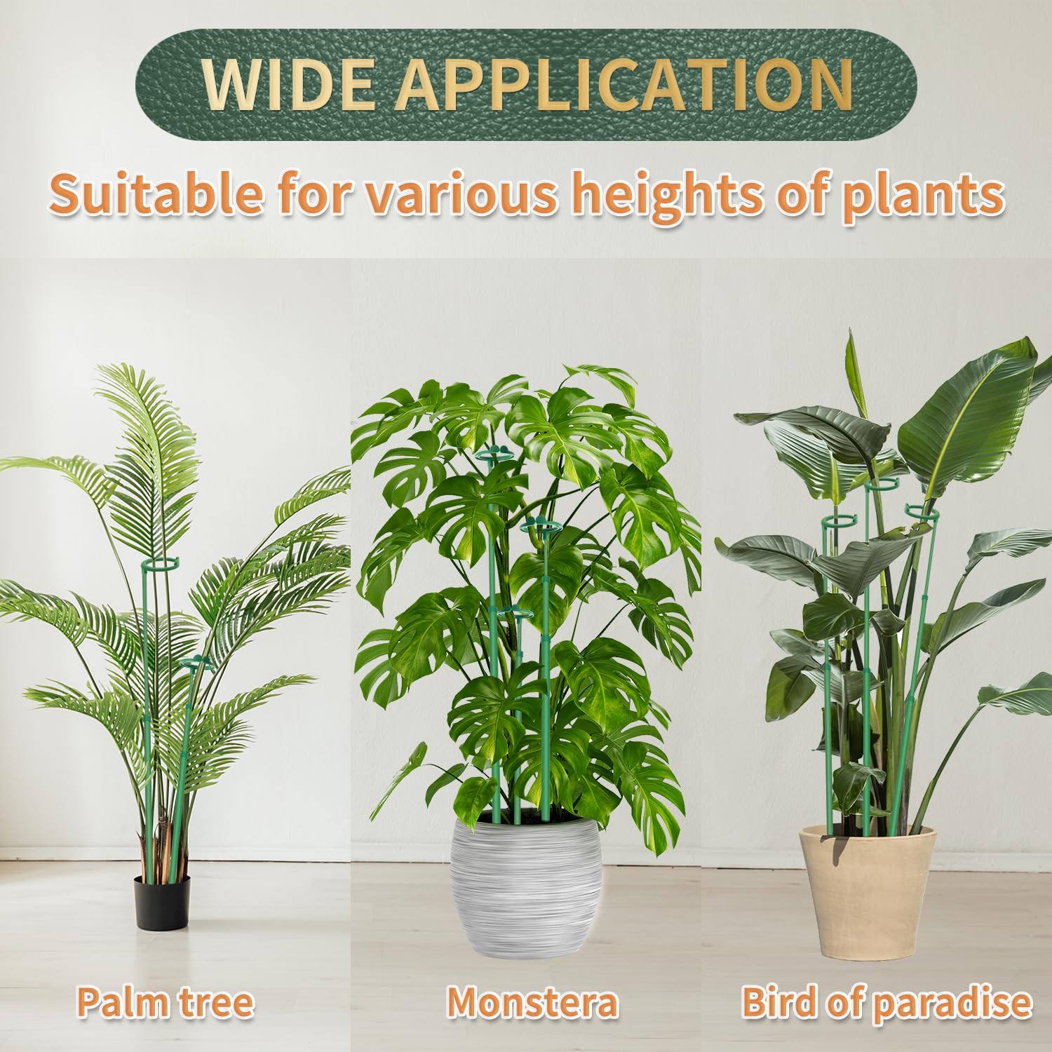 Stroller indoor outdoor use of extendable stakes for plant training.