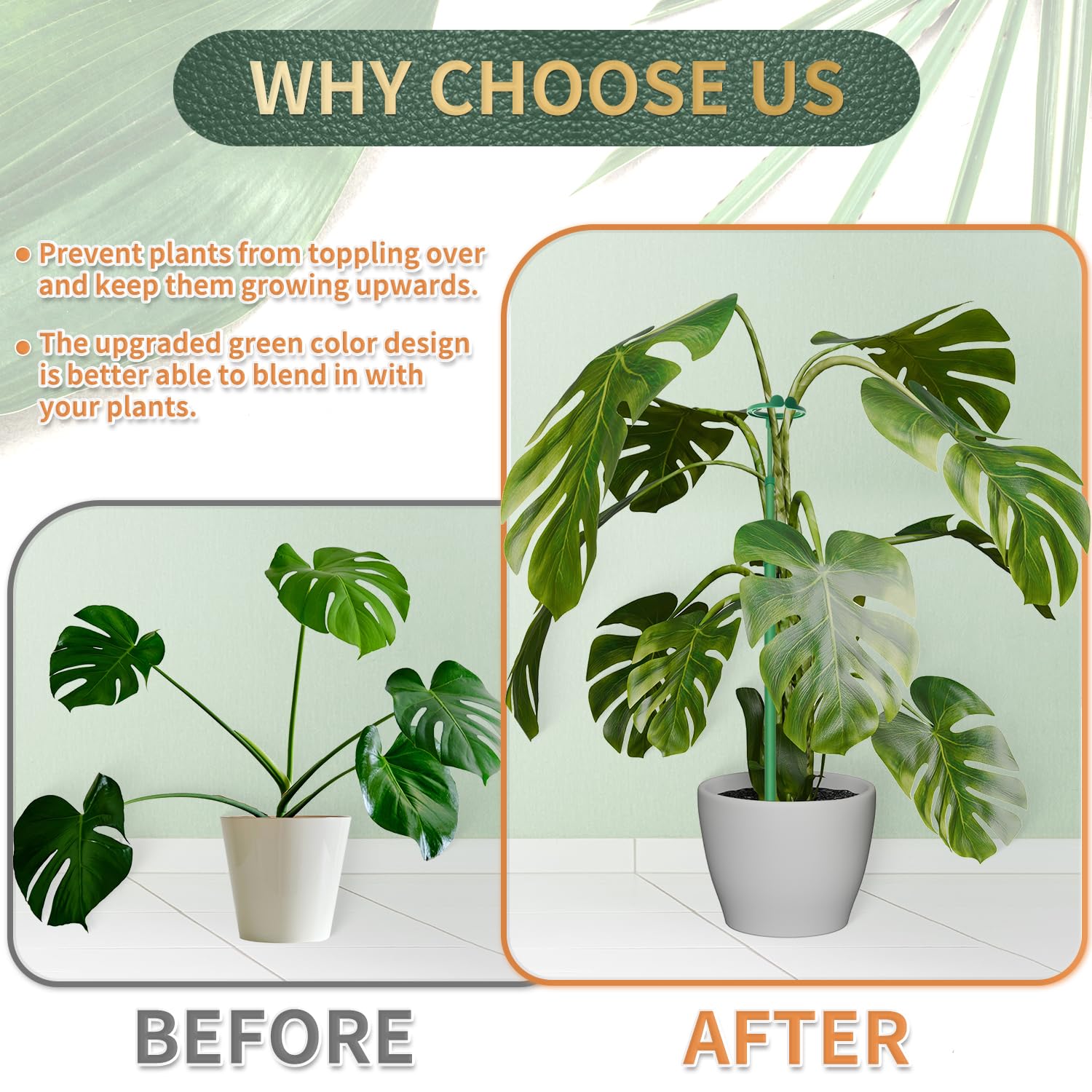 Stroller extendable stake used to support Monstera in a pot.