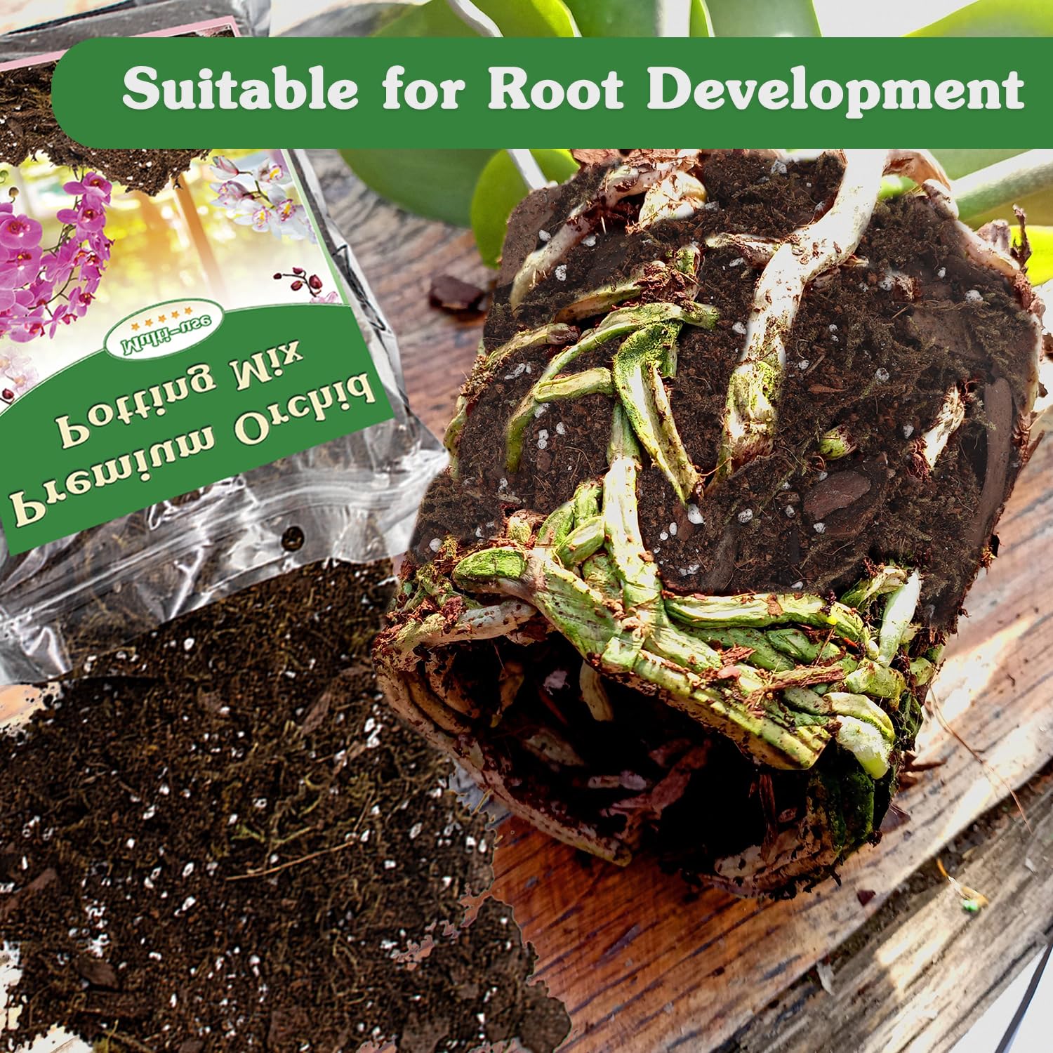 Stroller Orchid Potting Mix pine bark view demonstrates ventilation and root health