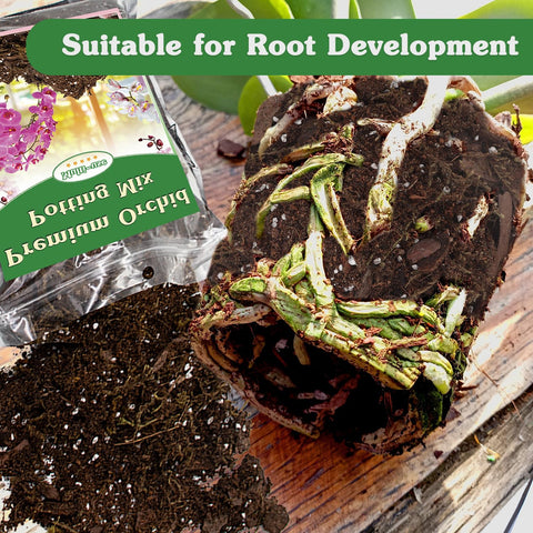 Stroller Orchid Potting Mix pine bark view demonstrates ventilation and root health