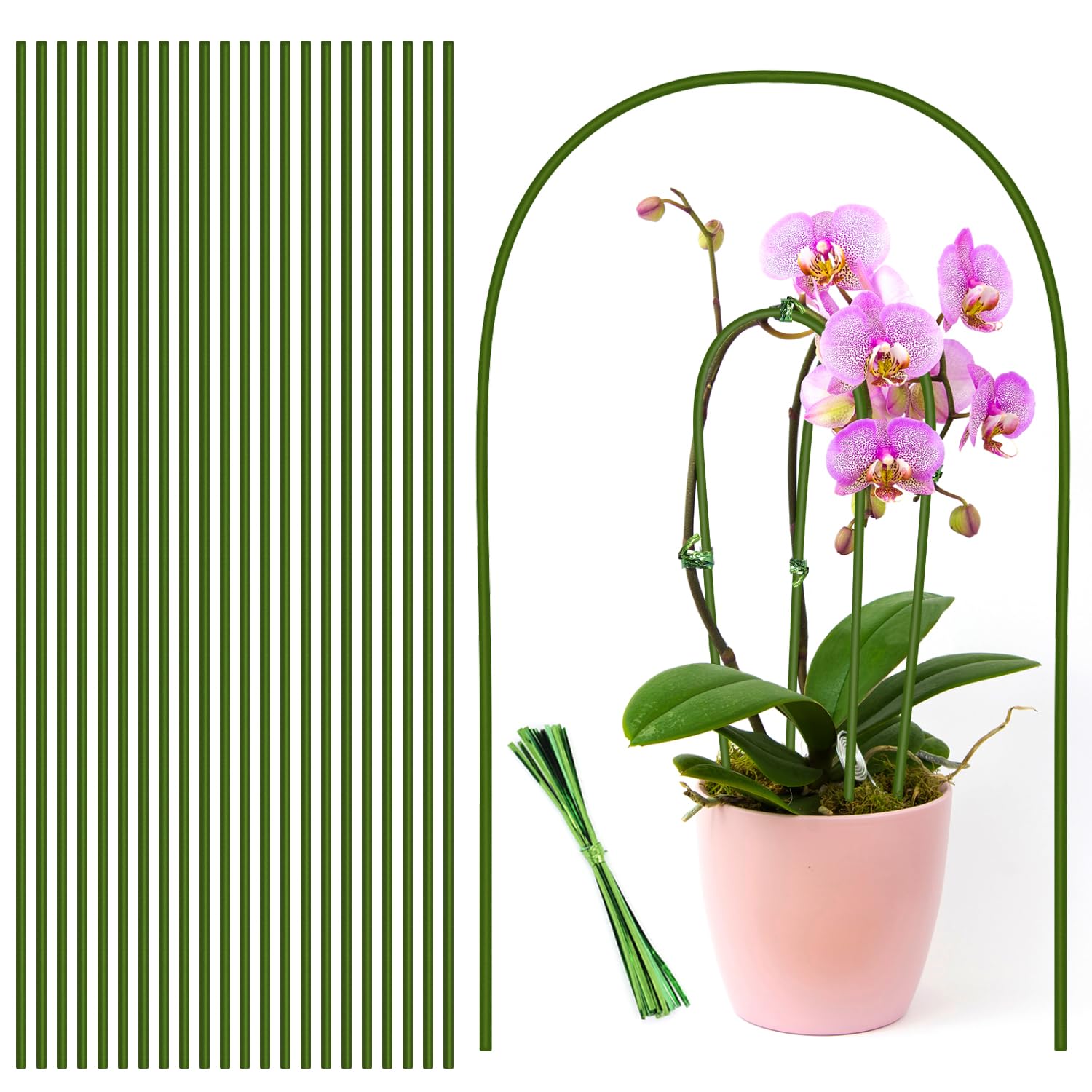 Stroller plant stake green kit provides sturdy indoor plant support