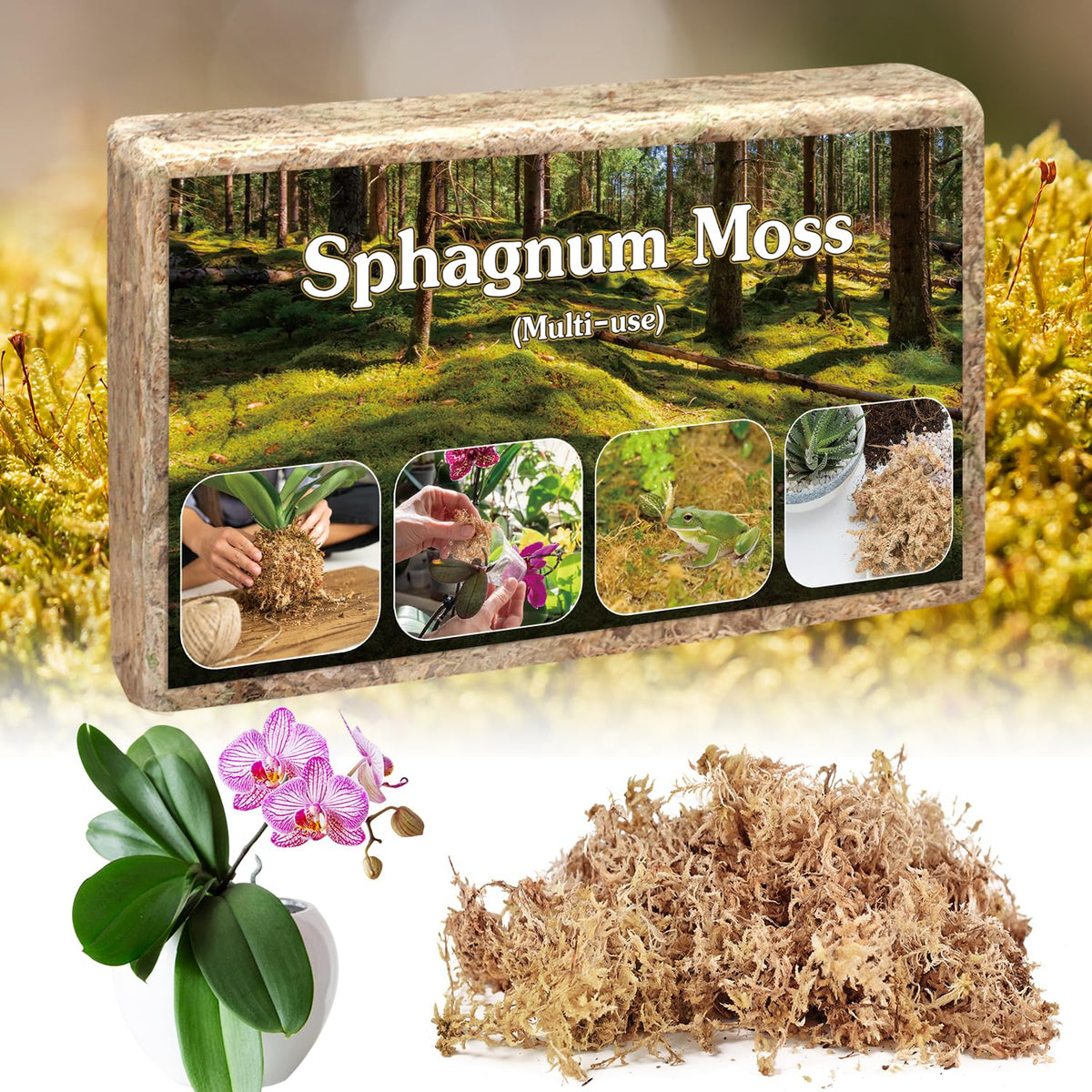 Stroller sphagnum moss brick expands when soaked for potting projects