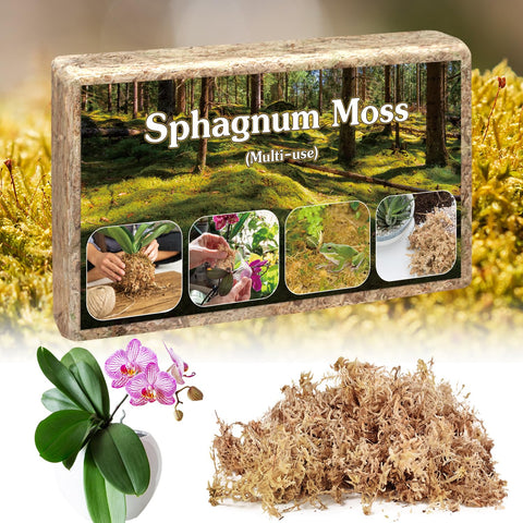 Stroller sphagnum moss brick expands when soaked for potting projects