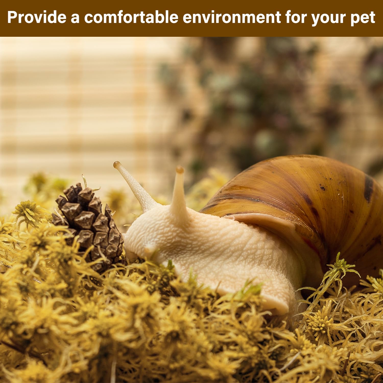 Versatile substrate for reptiles and amphibians with Stroller moss
