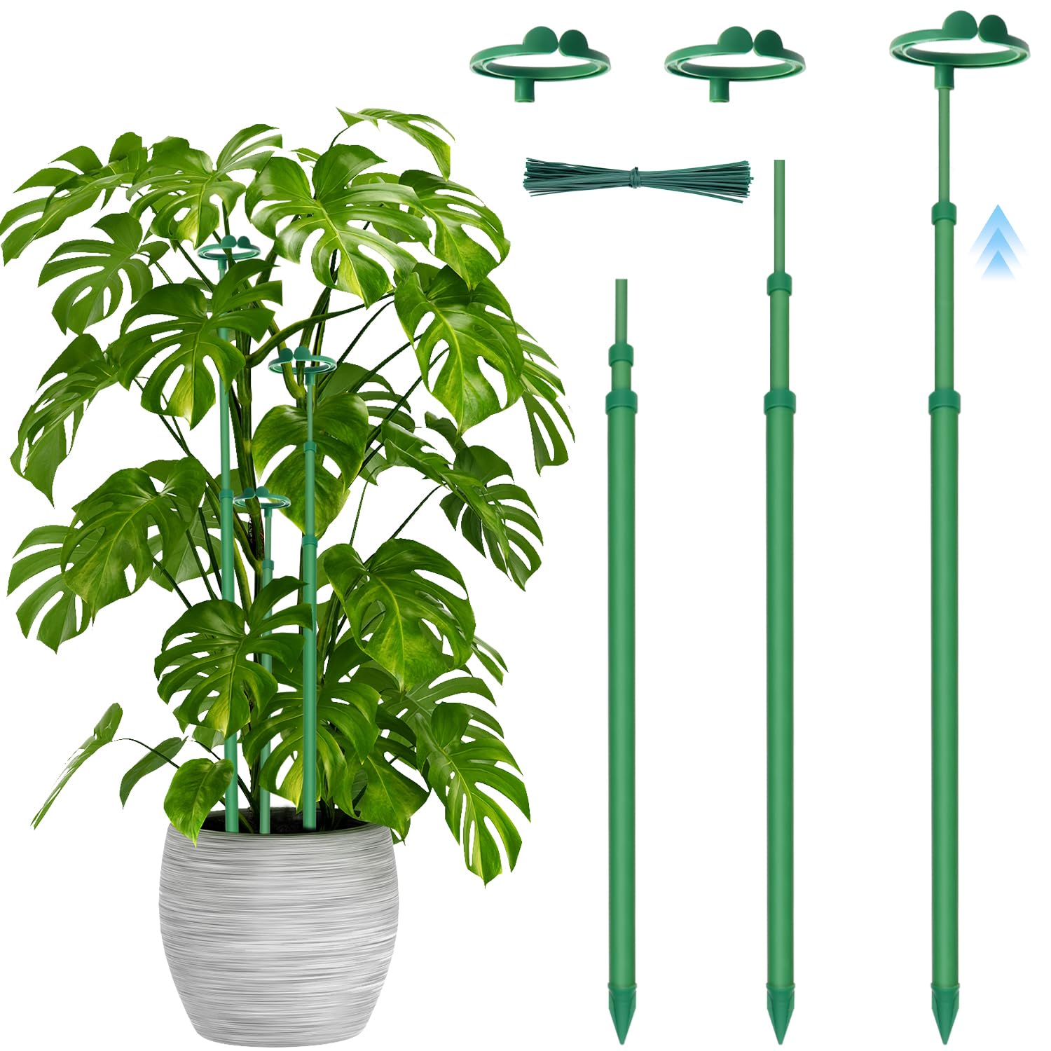Stroller telescoping plant stake extended to support a growing plant.
