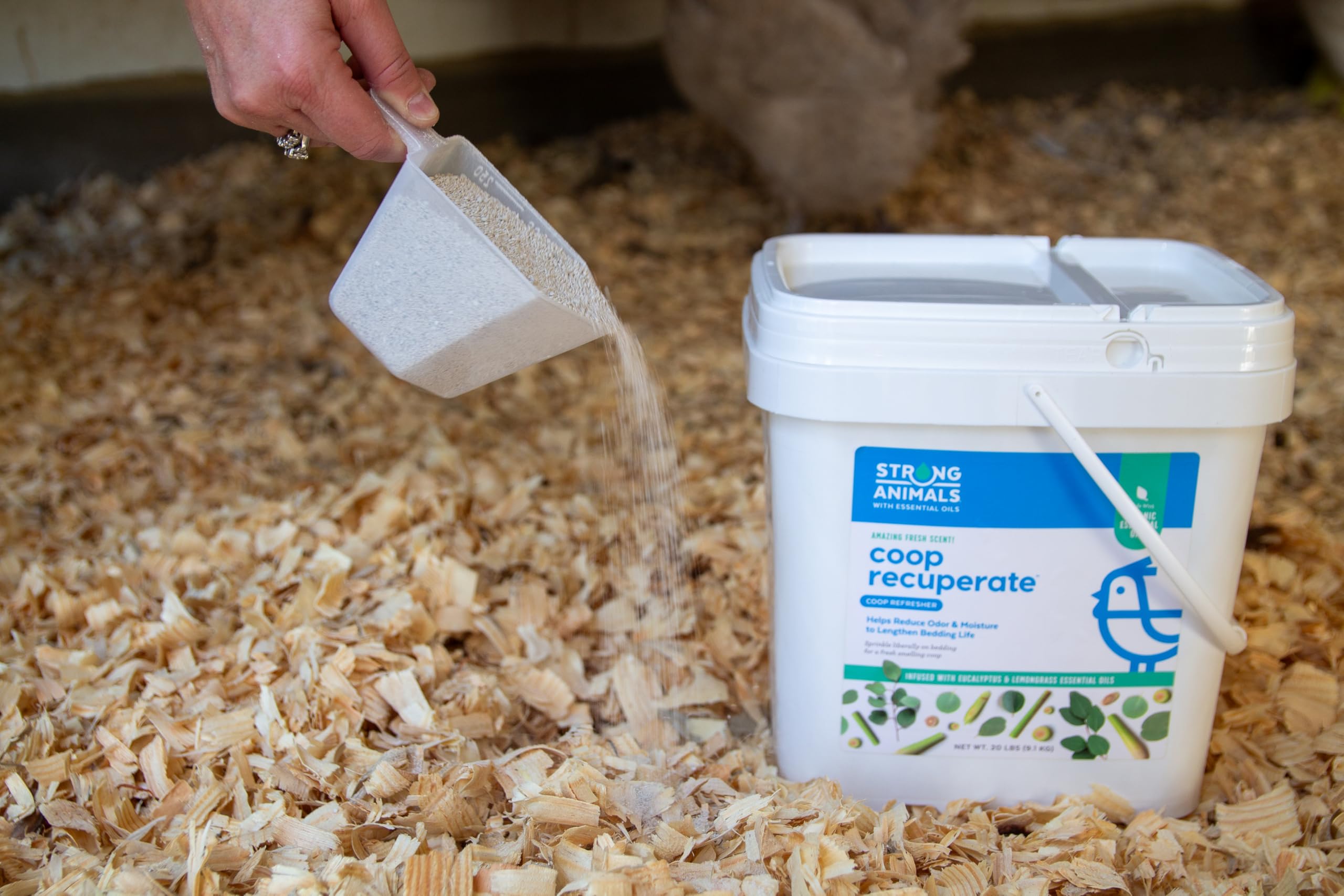 Strong Animals Coop Recuperate inside coop showing reduced odors and moisture.