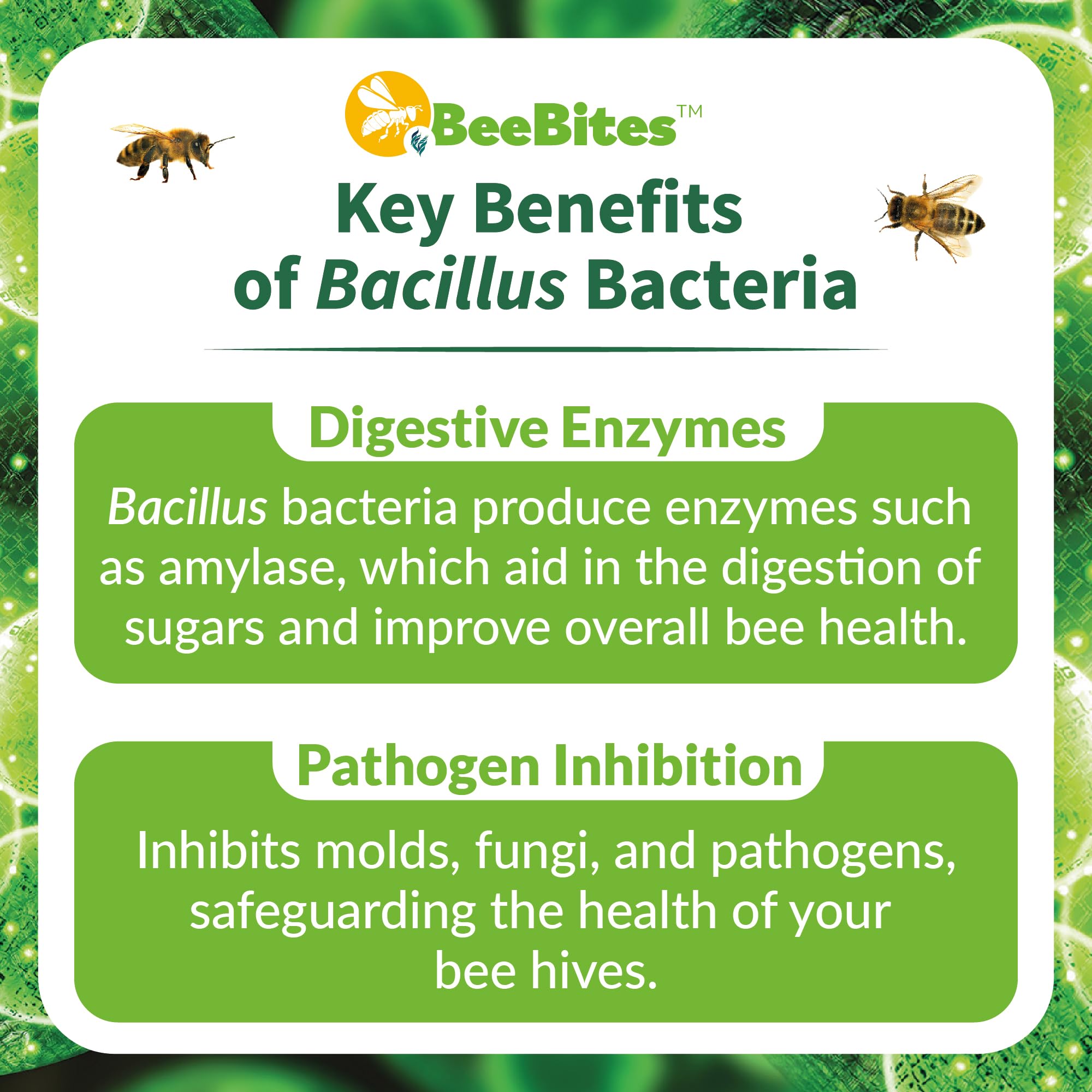 STRONG MICROBIALS BeeBites illustration of 12.5B CFUs and probiotic nutrition concept.