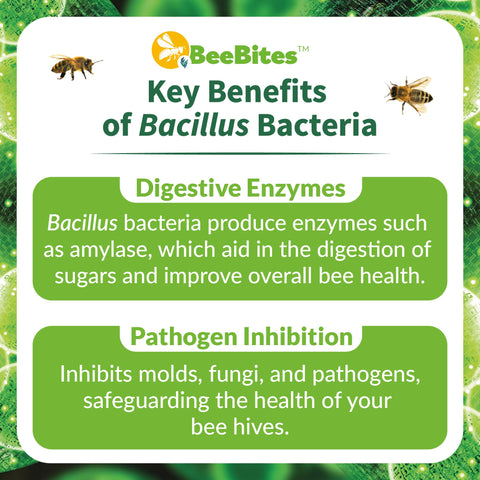 STRONG MICROBIALS BeeBites illustration of 12.5B CFUs and probiotic nutrition concept.