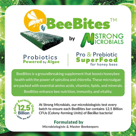 STRONG MICROBIALS BeeBites closeup with spirulina and chlorella shows a nutrient-rich formula.