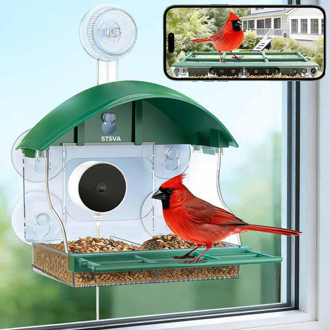 STSVA window bird feeder front view with 2K camera for clear birdwatching.