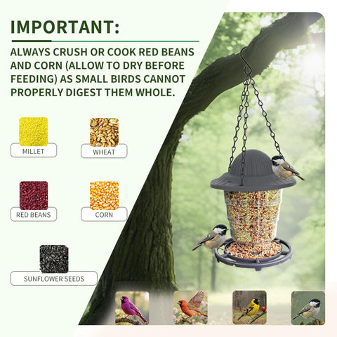 STWPYL Small Bird Feeder holds 550ml, supporting multiple birds such as finches