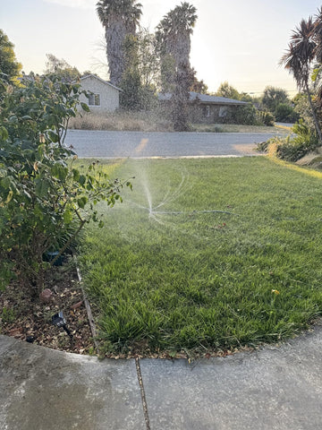 STYDDI 3-arm sprinkler demonstrates 360-degree irrigation for even coverage