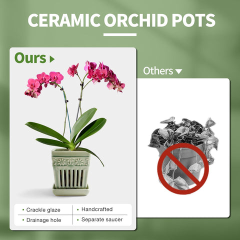 SUADEN glazed orchid pot green interior view showing smooth glaze and airflow.