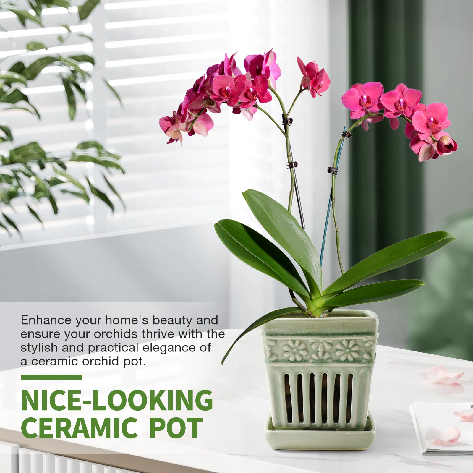 SUADEN orchid pot in a repotting setup showcasing drainage and root aeration.