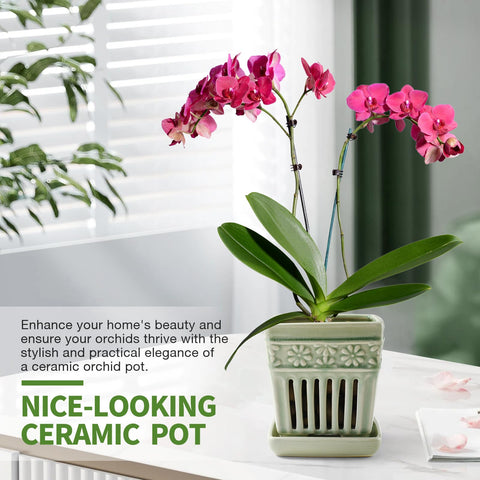 SUADEN orchid pot in a repotting setup showcasing drainage and root aeration.