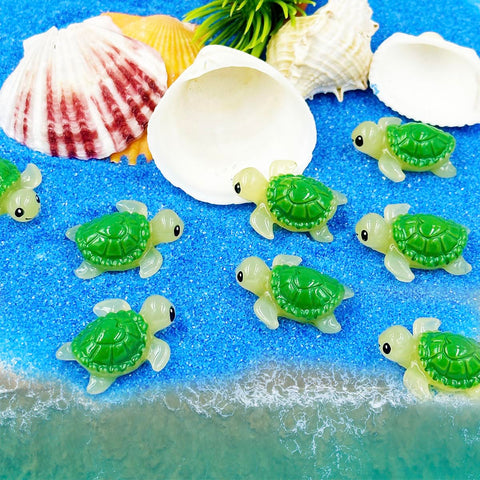 Suartus giftable mini turtles, perfect for a thoughtful present.