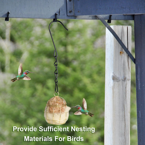 SucculentLovers bird feeding option doubles as a decorative garden accessory