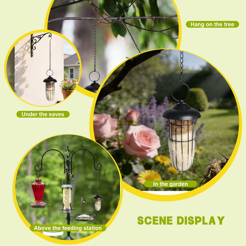 SucculentLovers gift kit for bird lovers and families.