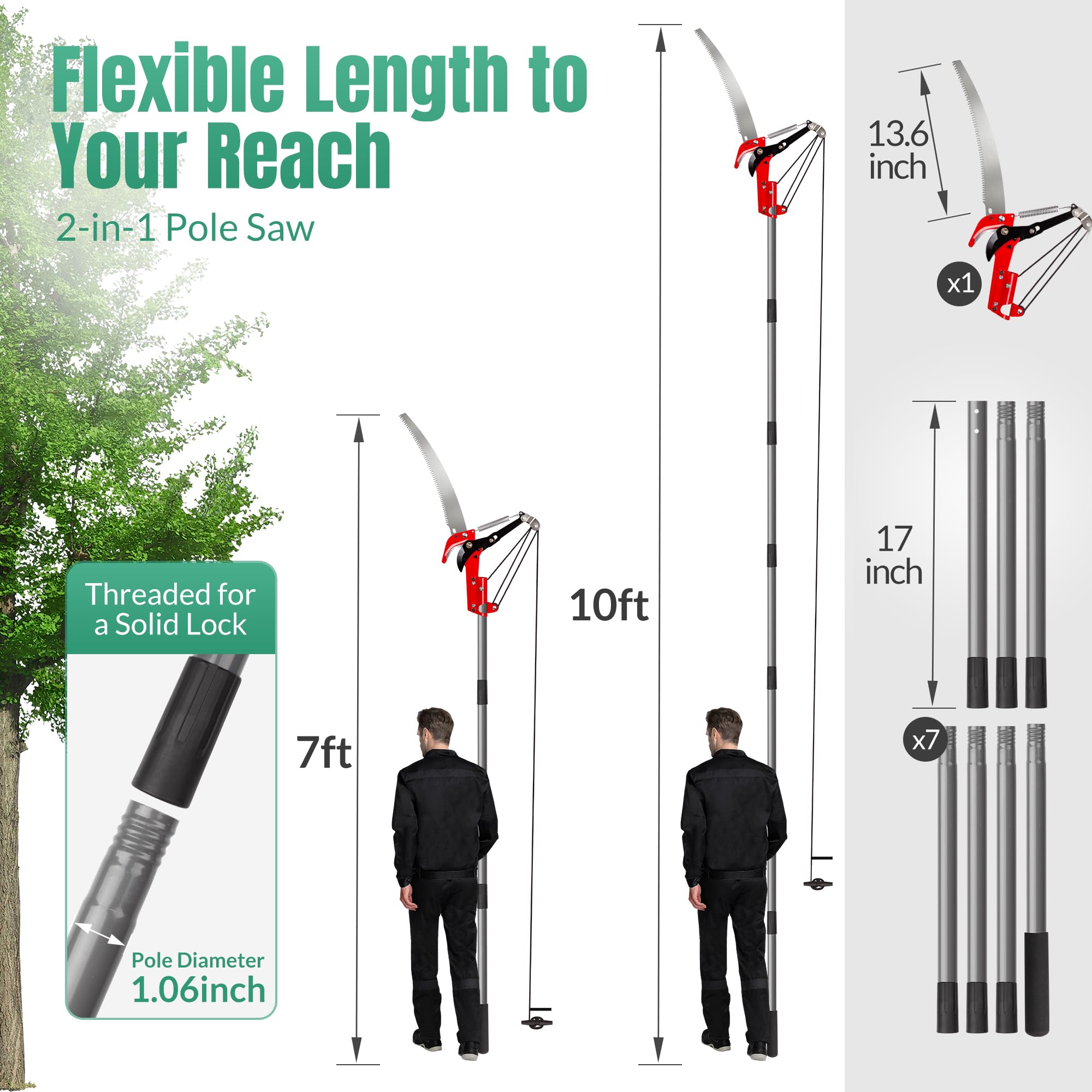 Suchtale high-branch trimming shows reach from ground without a ladder