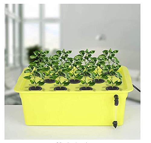 SUCOHANS DIY cloner use-case supports easy, scalable propagation.