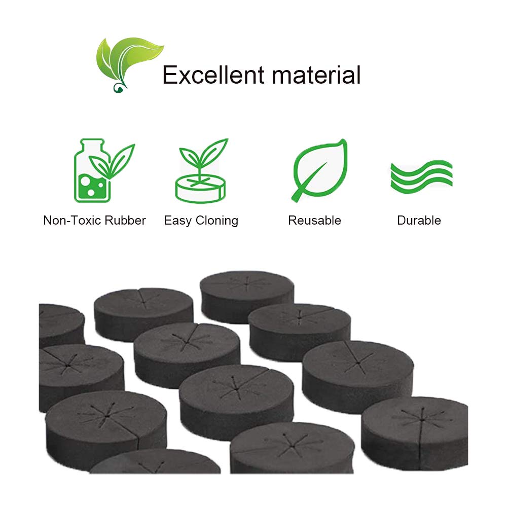 SUCOHANS eight-slit, one-hole design cushions cuttings and improves planting efficiency.