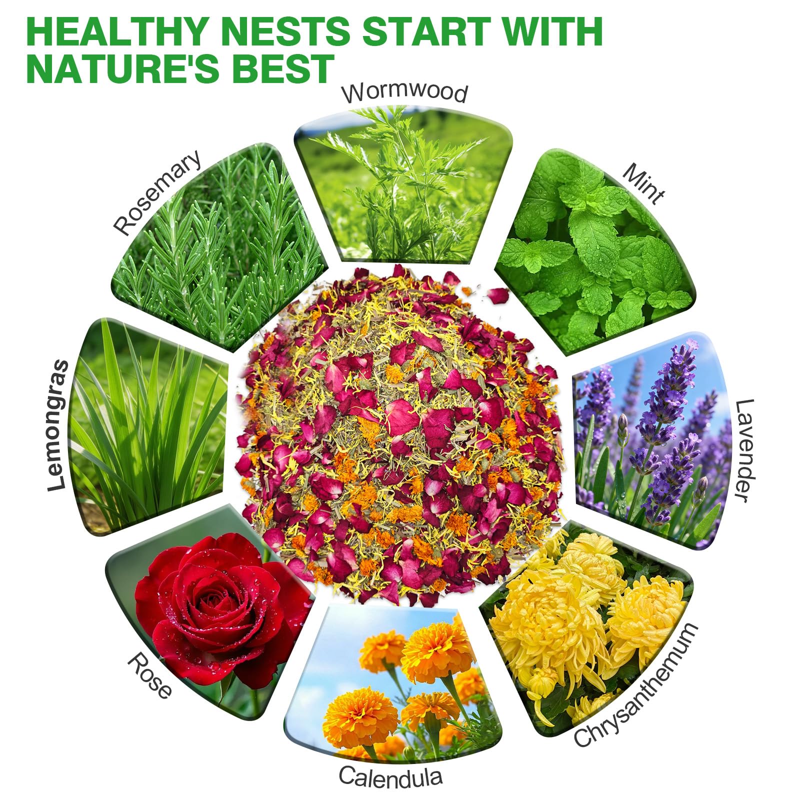 Suicatene nesting box herbs in coop create a calming nest area for hens.