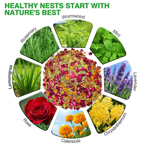 Suicatene nesting box herbs in coop create a calming nest area for hens.