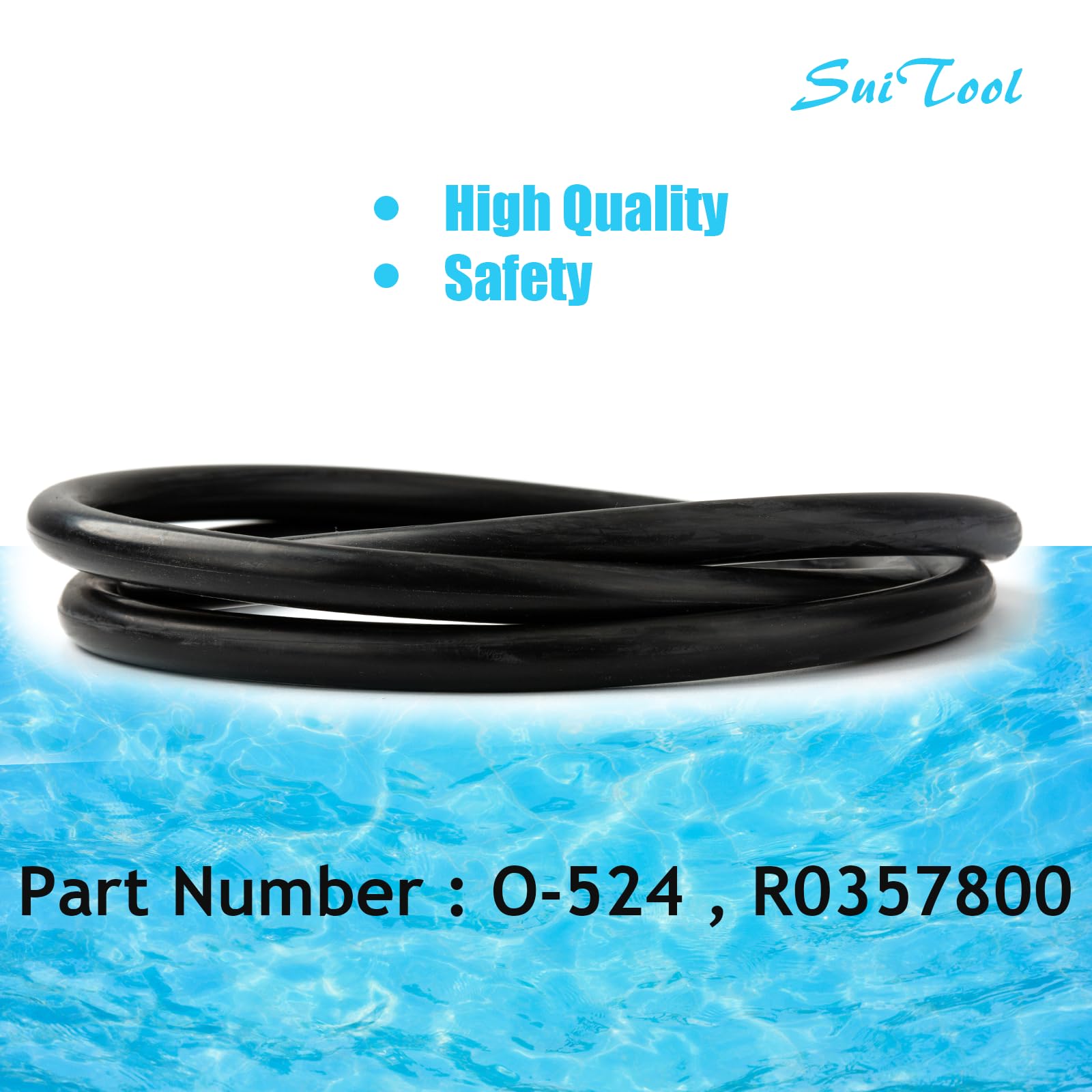 SuiTool DEV48/DEV60 O-ring for tight, leak-resistant DE filters