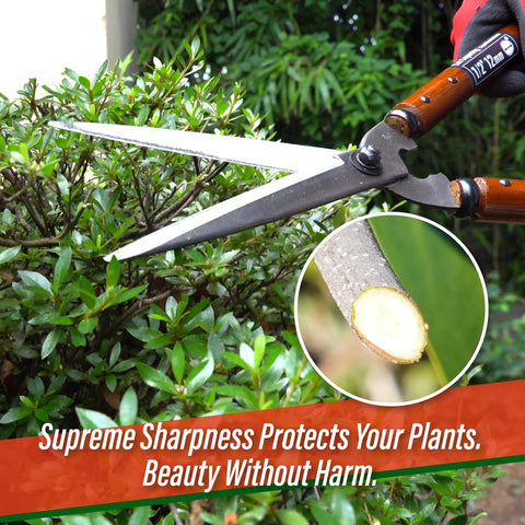 SUIZAN professional garden clipper in use demonstrates versatile trimming.