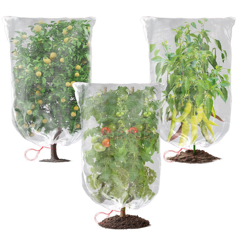 Sukh bird netting over blueberry bushes protecting berries while allowing airflow