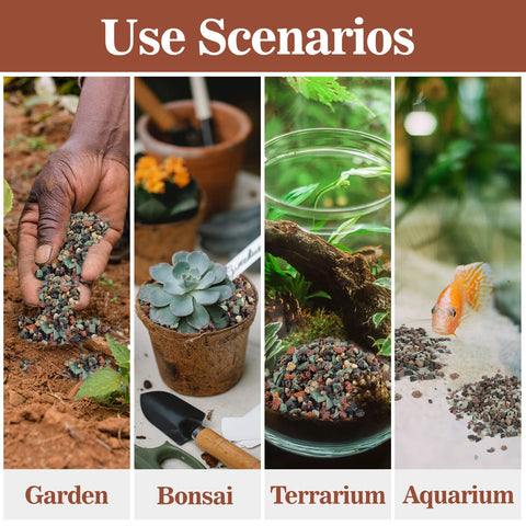Sukh bonsai care rocks aid moisture management and root health.