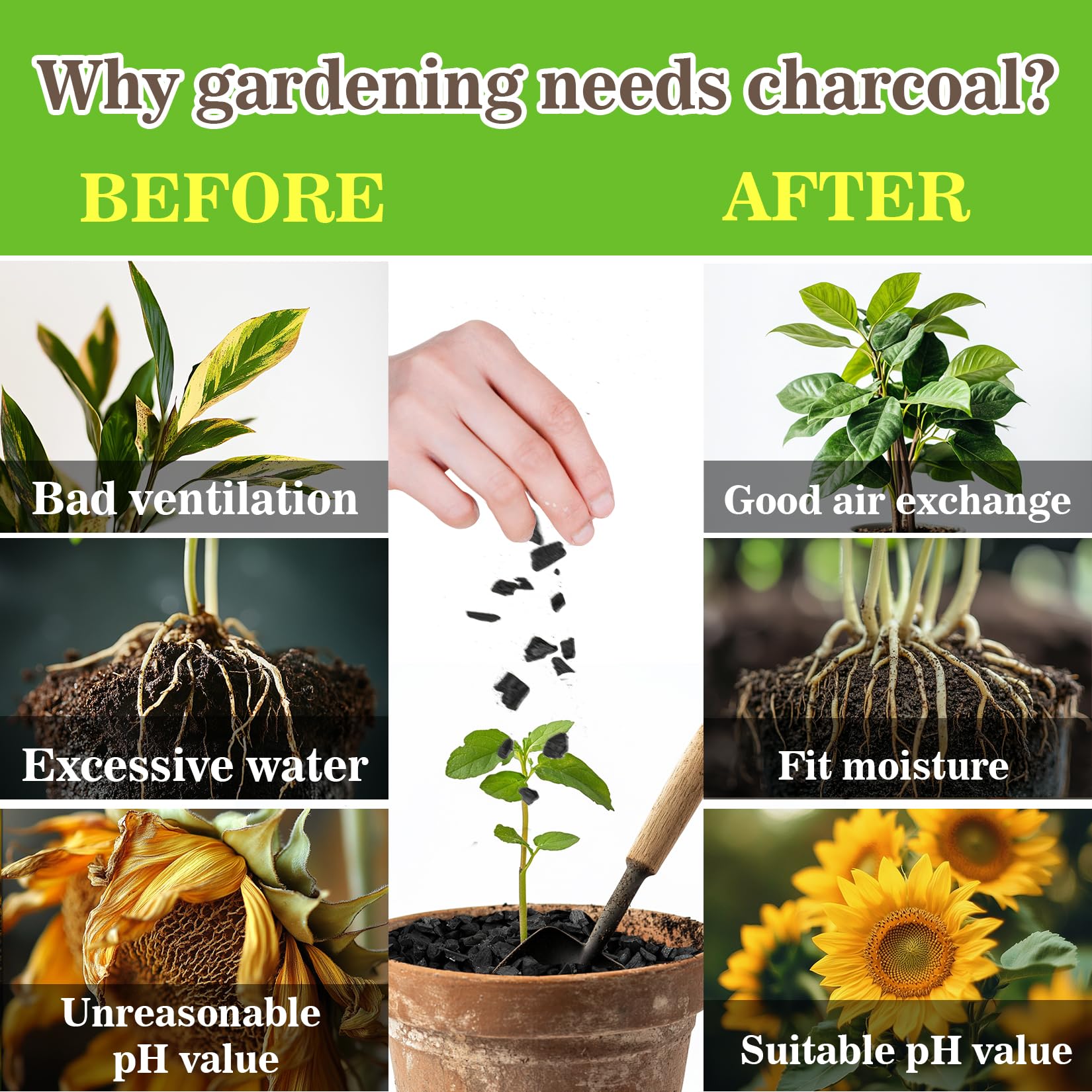 Sukh charcoal pellets boost airflow in potted soil