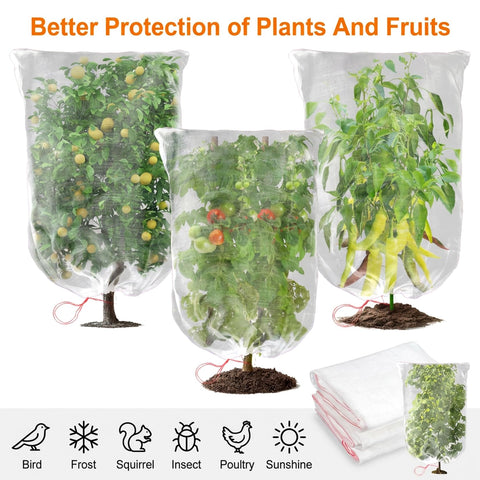 Sukh fruit-tree netting protecting tomatoes and strawberries under sun